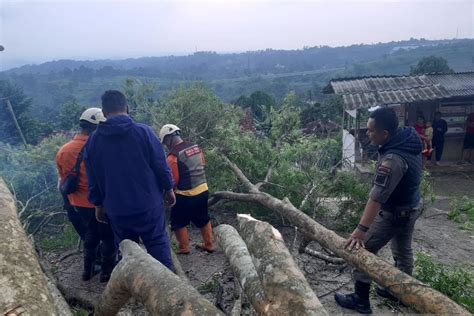 Cuaca Buruk Sebabkan Bencana Tanah Longsor Dan Pohon Tumbang Di