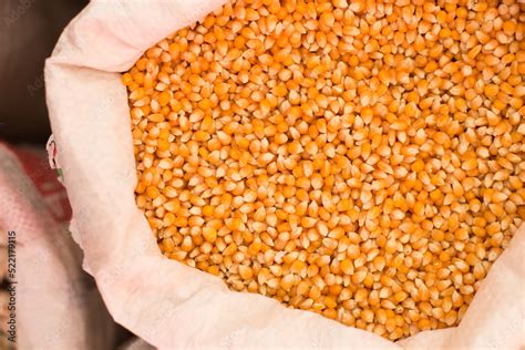 Maiz Para Hacer Pop Corn Dentro De Un Costal Concepto De Alimentos