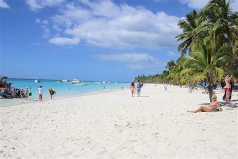 Saona Island Excursion By Catamaran Or Speedboat From Bayahibe 2021