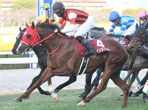 【京王杯sc想定馬・騎手】ウインマーベル、ソーヴァリアントなど14頭 競馬ニュース Netkeiba