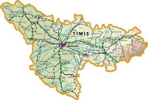 Judetul Timis Din Timisoara