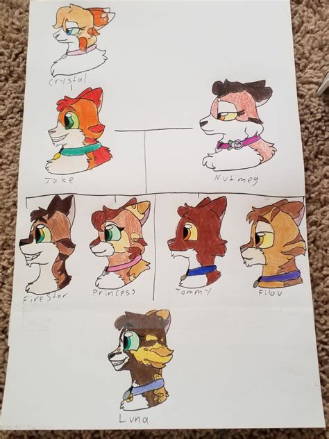 Firestar's genetically accurate family tree by kattren on DeviantArt