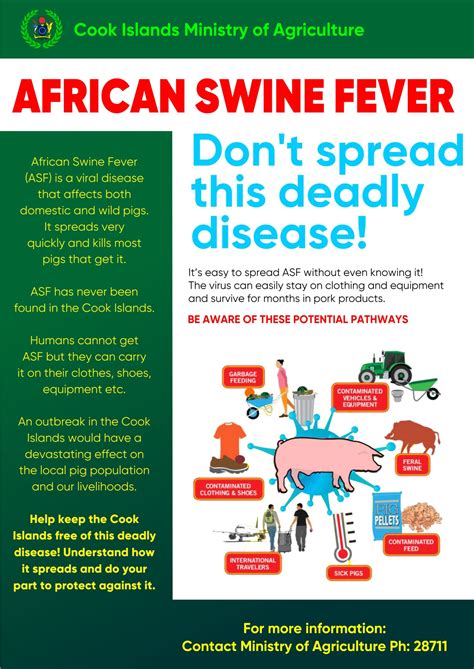 African Swine Fever Cook Islands Ministry Of Agriculture