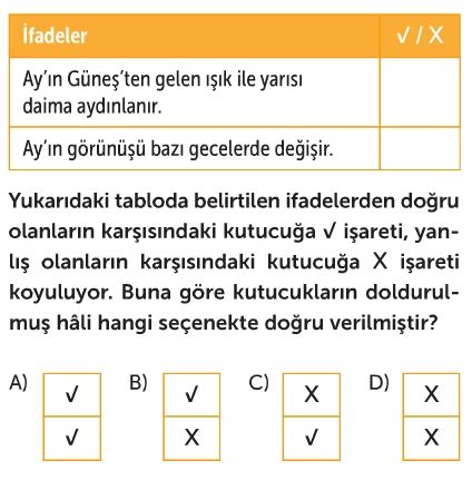 5 Sınıf Ay ın Hareketleri ve Evreleri Test Çöz Fen Bilimleri Testleri