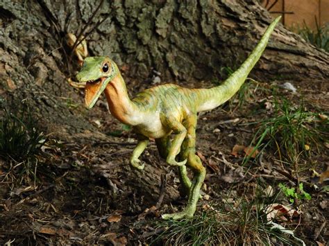 Compy Life Size Outdoor Replica Dinosaur Model Etsy