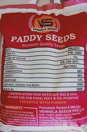 Natural Pusa Basmati Pb1 PADDY Seed Packaging Type PP Bag Packaging