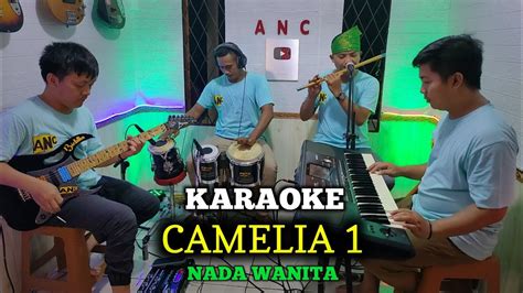 CAMELIA KARAOKE RHOMA IRAMA NADA WANITA YouTube