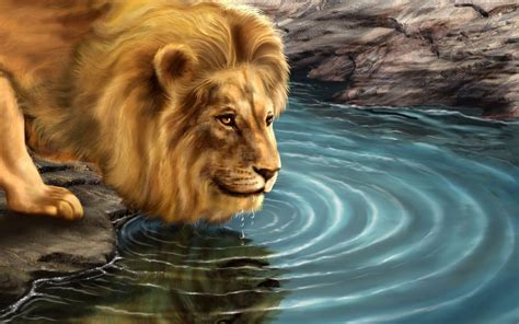 Lion Desktop Backgrounds - Wallpaper Cave