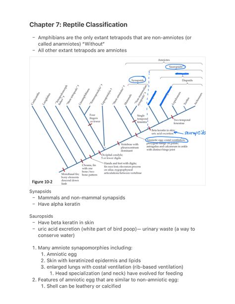 Chapter 7- Reptile Classification - – – – – – 1. 1. 2. 3. 1. 2. 1 ...