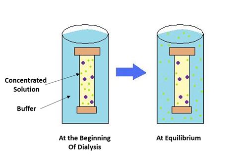 Chapter 3 Investigating Proteins Chemistry