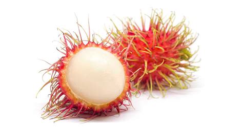 Rambutan Fruit Nutrition Facts | Besto Blog