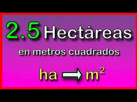 Cu Ntos Metros Cuadrados Hay En Hect Reas Conversi N R Pida Ha