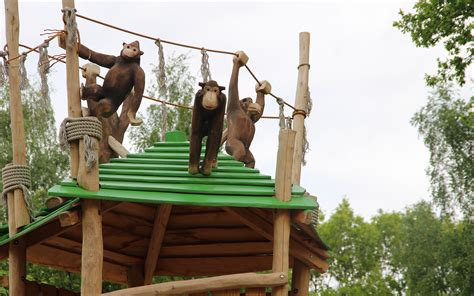 Tier Und Freizeitpark Th Le Affenspielplatz Kinderland Parks