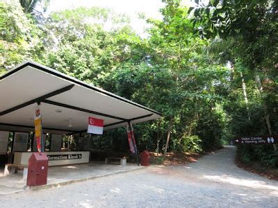 Adventures With The Naked Hermit Crabs 8 Sep Sat FREE Chek Jawa Boardwalk Tour With The