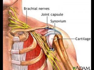 Simple Exercise To Reduce Nerve Pressure In Neck Bursitis In Shoulder