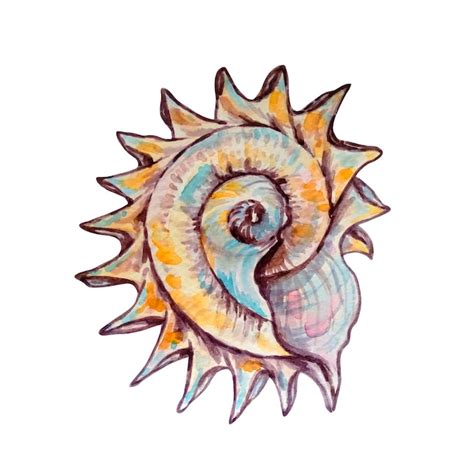 Premium Vector | Watercolor colorful seashell hand drawn illustration