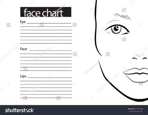 Face Chart Makeup Artist Blank Template 库存矢量图（免版税）477317686 Shutterstock