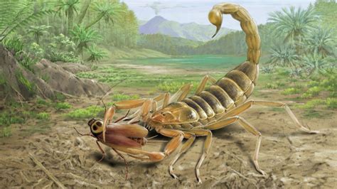 125 million-year-old fossil of giant venomous scorpion that lived ...
