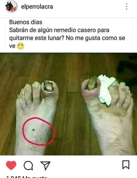 Top Memes De Patas En Español Memedroid