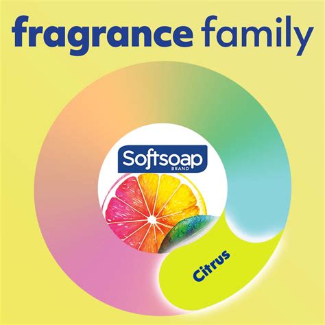 Softsoap Antibacterial Liquid Hand Soap Fresh Citrus 11 25 Oz