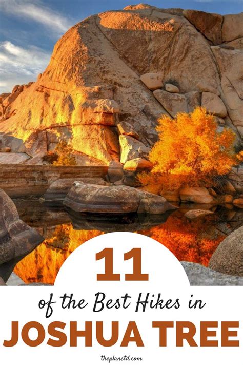 Best Hikes In Joshua Tree National Park Best Hikes Joshua Tree