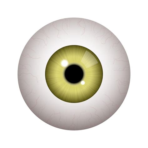 Premium Vector Realistic Human Eyeball