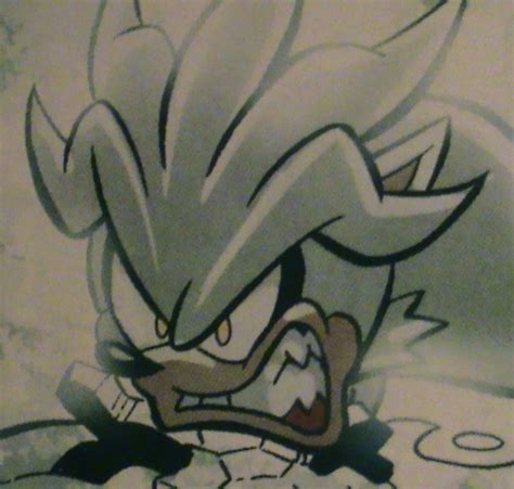 Kunle Sanders On Twitter Silver The Hedgehog And Gold The Tenrec Vs