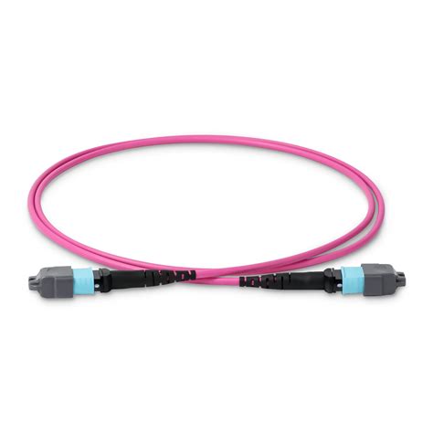 10m 33ft Mtp 16 Female To Mtp 16 Female Om4 Elite Trunk Cable 16 Fibers Type B Lszh