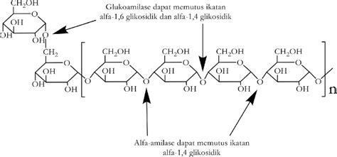 Gambar 4 Skema pemutusan ikatan glikosidik oleh enzim α amilase dan