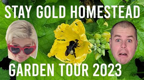 Stay Gold Homestead Garden Tour Harvest Season YouTube