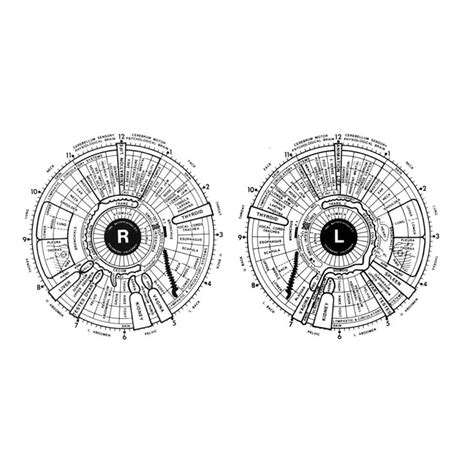 Practical Iridology And Sclerology