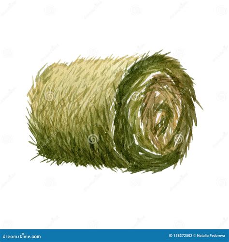 Round Hay Bale Isolated on a White Background. Watercolor Illustration ...