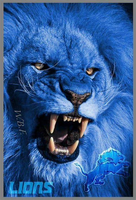 Pin By Nora Palomo On Detroit Lions Detroit Lions Football Nfl