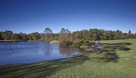 Fig Tree Pocket The Brisbane Suburb So Beautiful Locals Happily Go