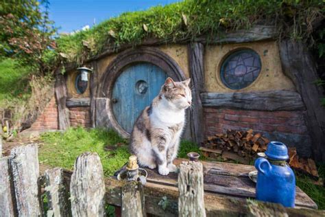 Weird Fun Hobbiton Facts You Never Knew