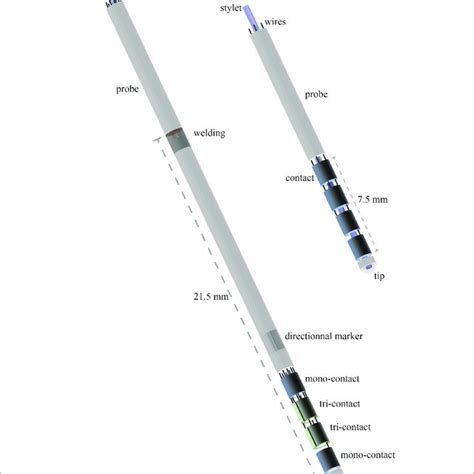 Electrodes Of Deep Brain Stimulation Directional Left And Download Scientific Diagram