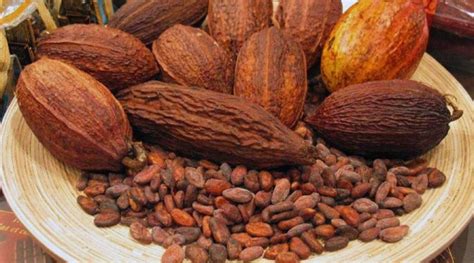 Del Cacao Al D Lar La Historia De Las Monedas En El Salvador La