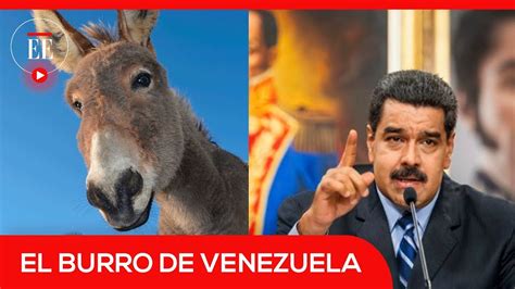 Hasta 20 años de cárcel por comparar a Maduro con un burro El