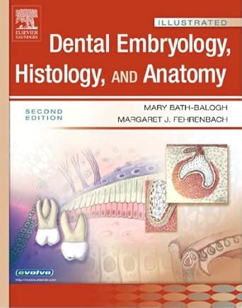 Illustrated Dental Embryology Histology And Anatomy Amazon Br