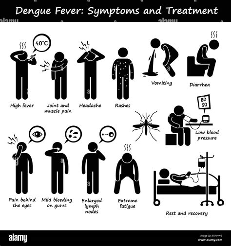 Dengue Fieber Symptome Und Behandlung Aedes M Cke Strichm Nnchen