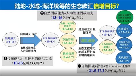 于贵瑞院士：陆地生态系统的碳汇潜力及增汇技术途径新浪财经新浪网