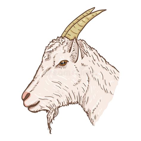 Cartoon Goat Head Stock Illustrations – 2,055 Cartoon Goat Head Stock ...