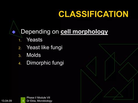 Classification And General Properties Of Fungi Ppt