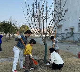 NX East Asia Region Conducts Tree Planting Activity In Shanghai