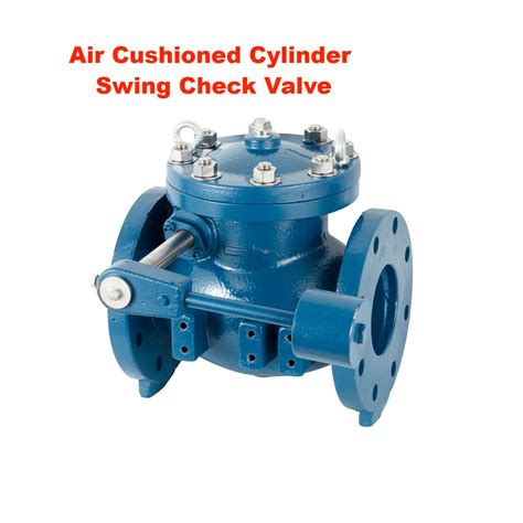 Swing Type Check Valve With Lever Counterweight Hydraulic Damping