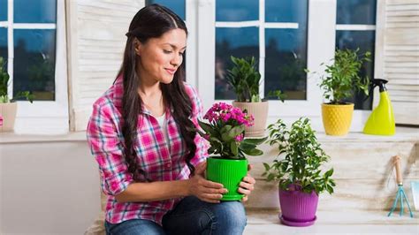 5 Low-maintenance Flowering Plants For Your Home | HerZindagi