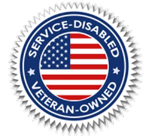 Disabled Veteran Owned Business Logo / A Diversity Inclusion Solution ...