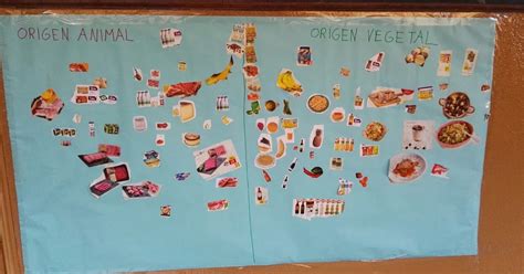 X Primaria San Agustin Palma Clasificamos Los Alimentos