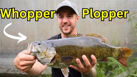 WHOPPER PLOPPER TopWater Bass Fishing Southern Manitoba EPIC NEW PB