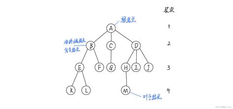 数据结构—基础知识（九）：树和二叉树a二叉树模型a是什么 Csdn博客